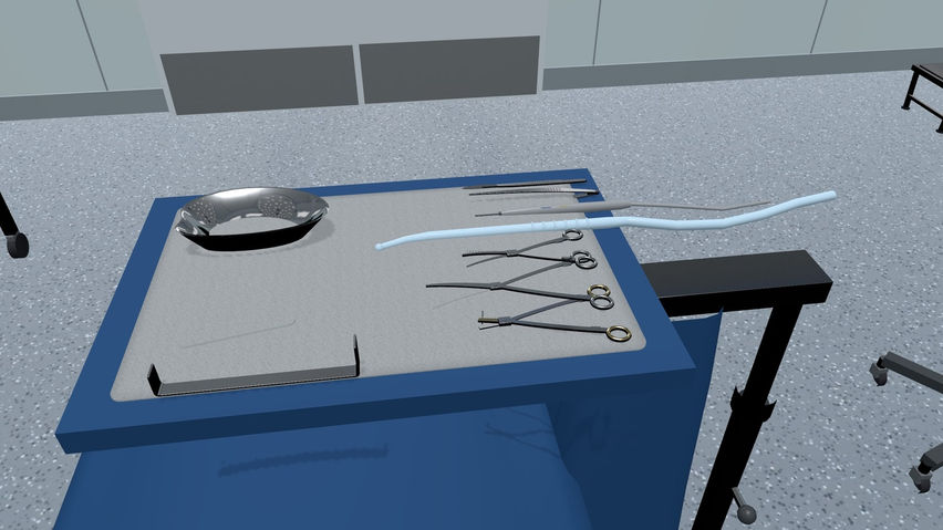 Surgery Simulator