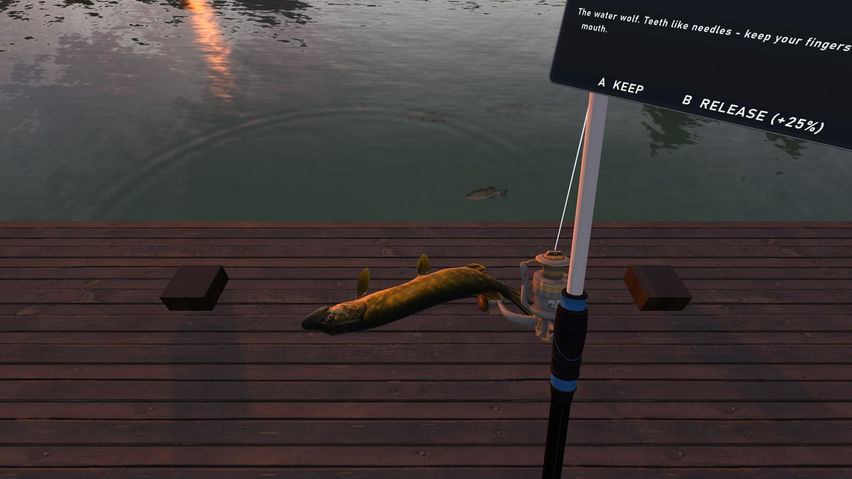 Fishing Simulator
