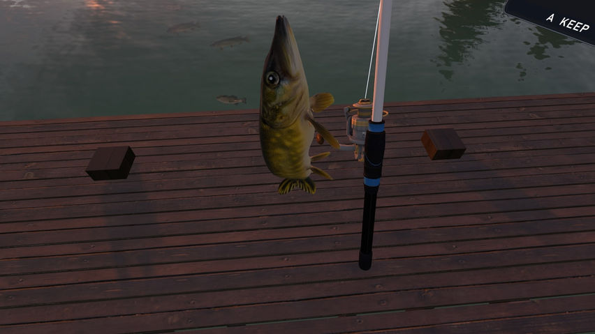 Fishing Simulator