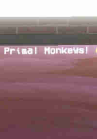 Primal Monkeyss
