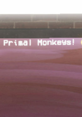 Primal Monkeyss