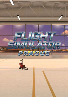 Flight Simulator Prague