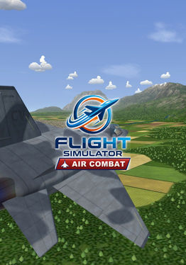 Flight Simulator Air Combat