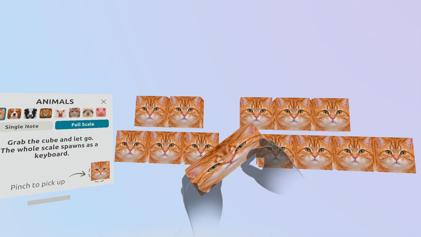 Animaloop