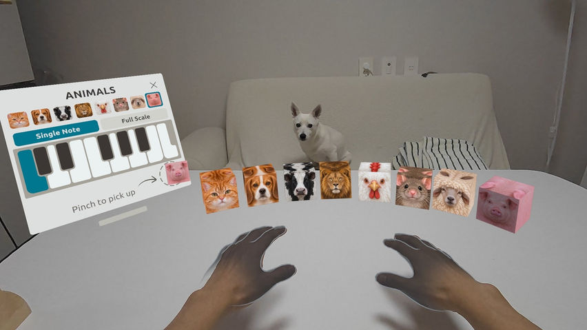 Animaloop