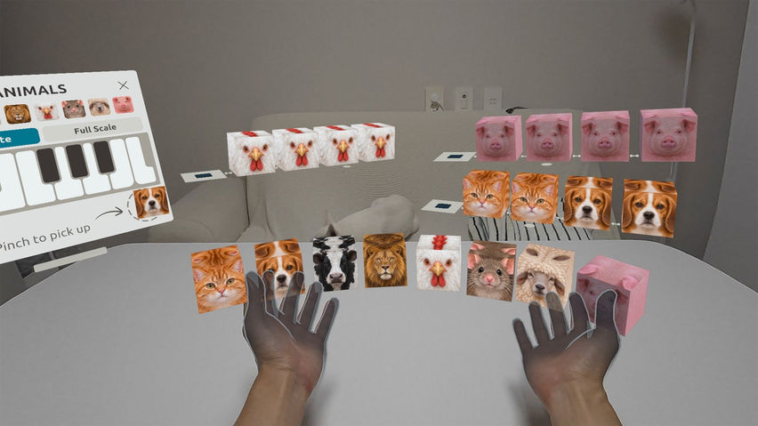 Animaloop