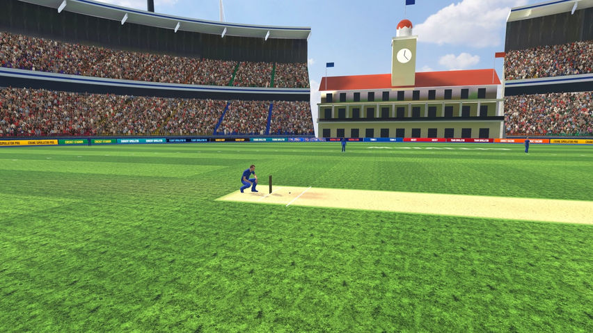 Cricket