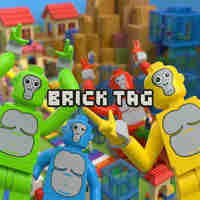 Brick Tag