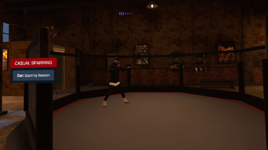 Fists and Fable VR