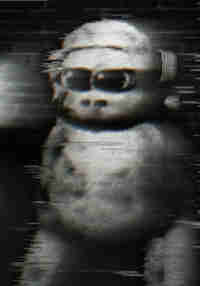 Eternal Apes
