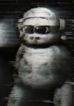 Eternal Apes