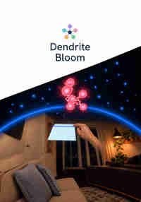 Dendrite Bloom