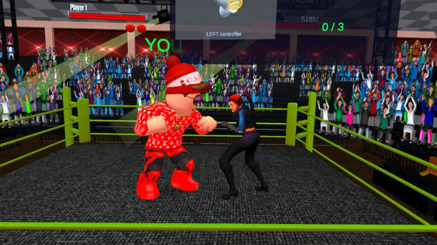 World Boxing Champion VR
