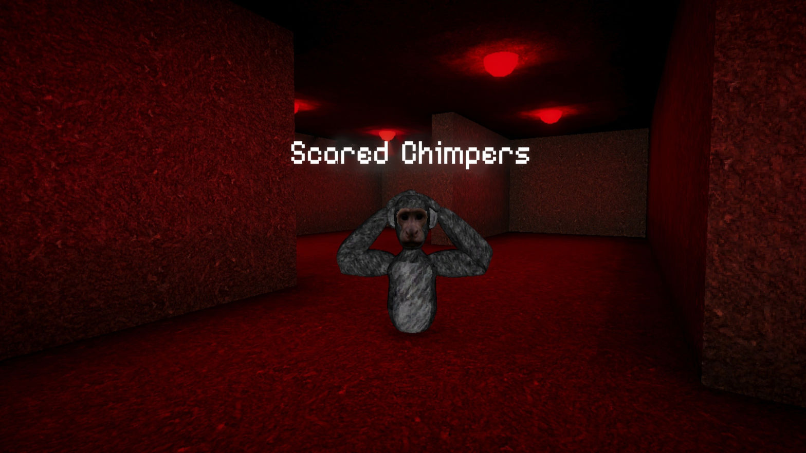 Scared Chimpers