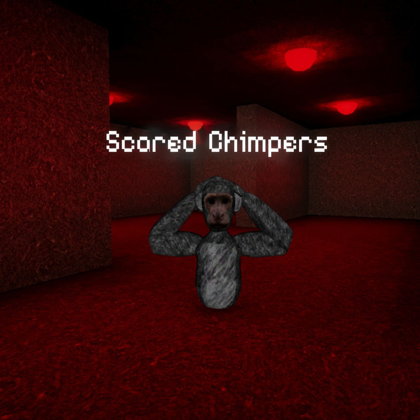 Scared Chimpers