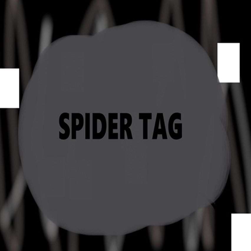Spider Tag