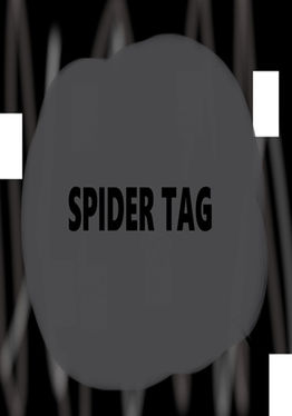 Spider Tag