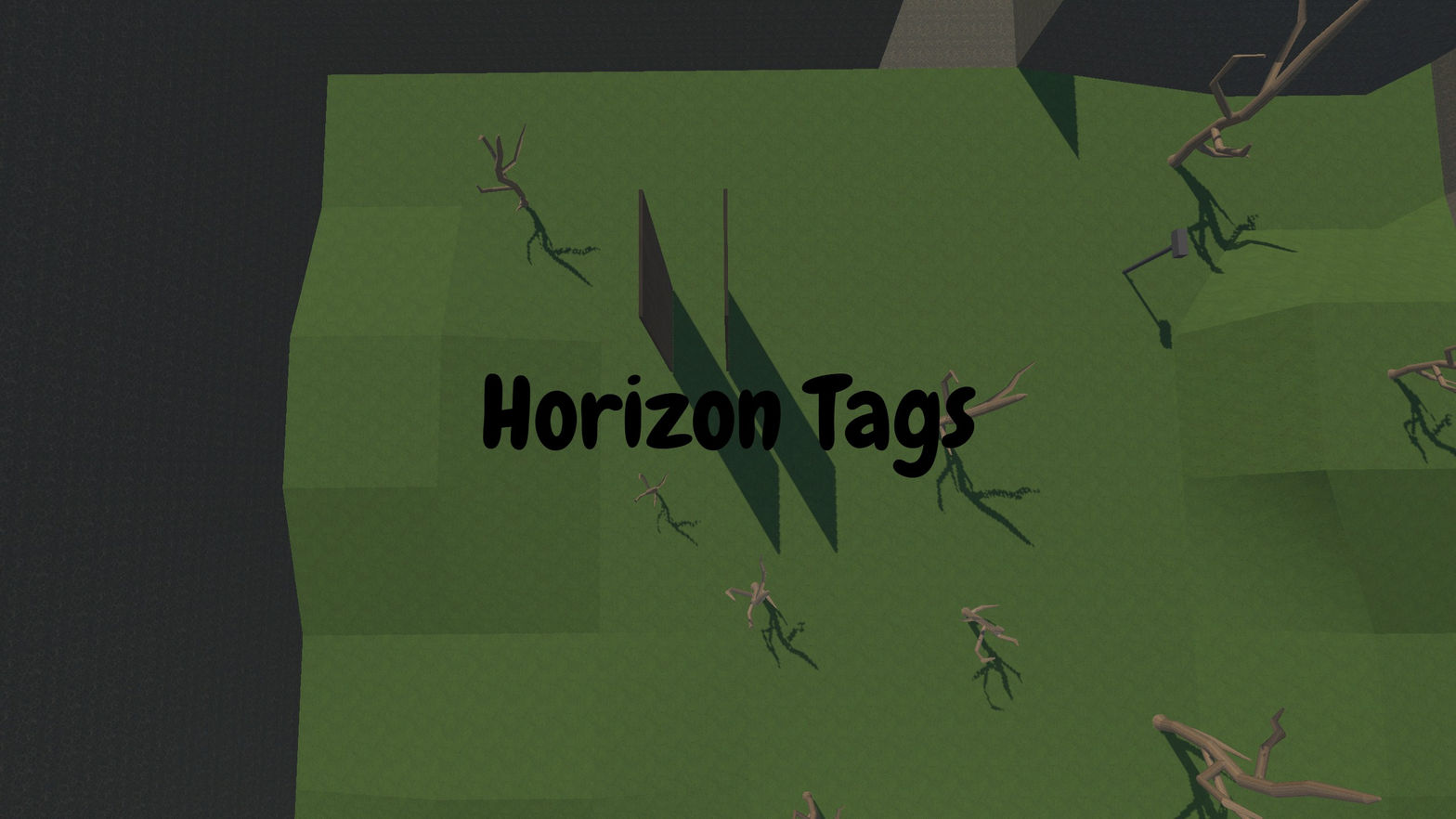 Horizon tags