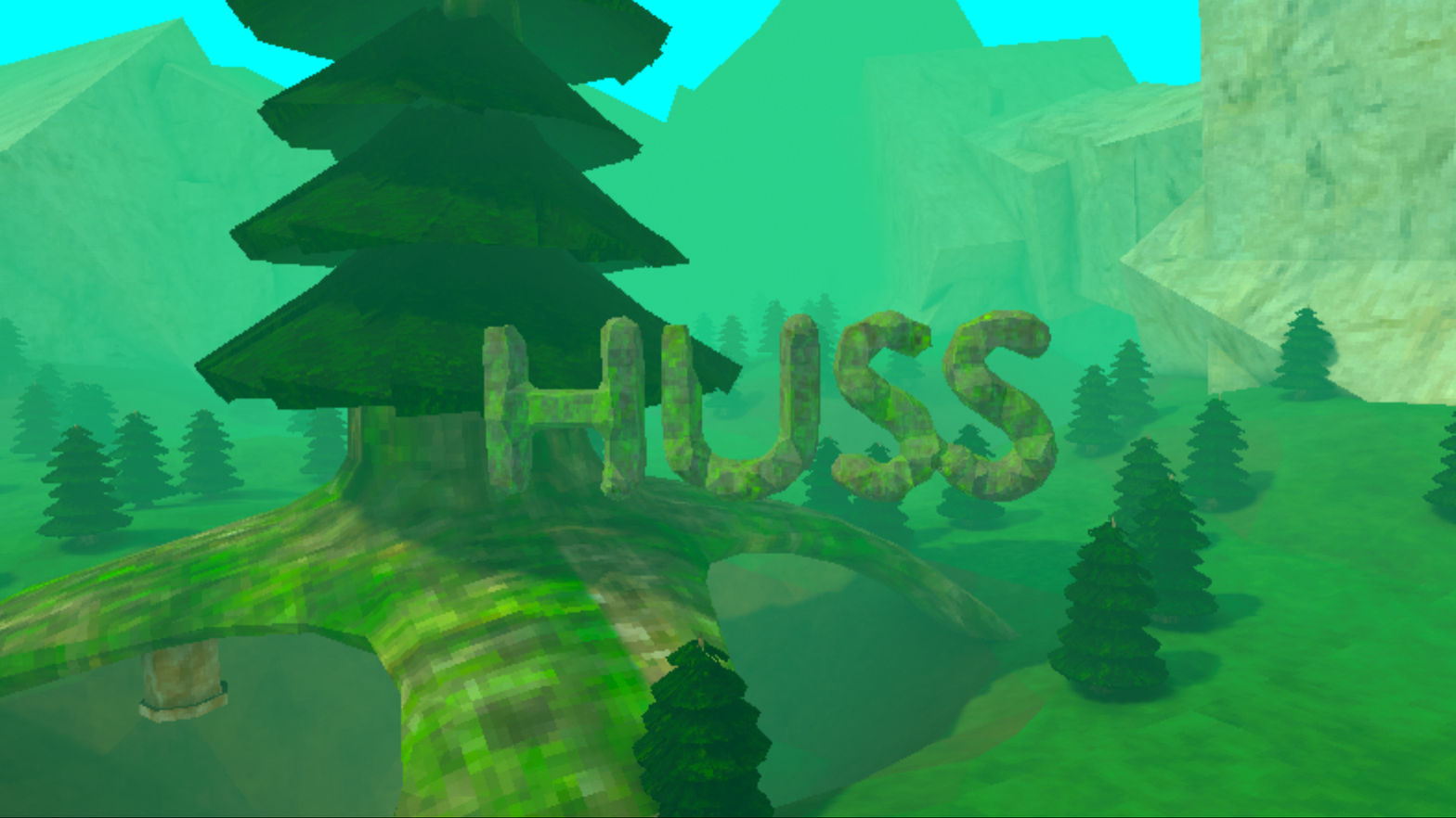 Huss VR