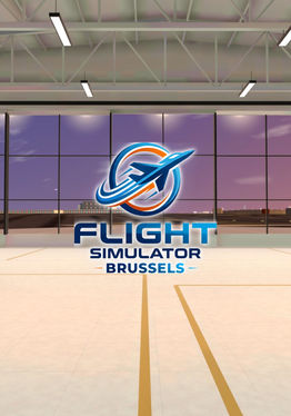 Flight Simulator Brussels