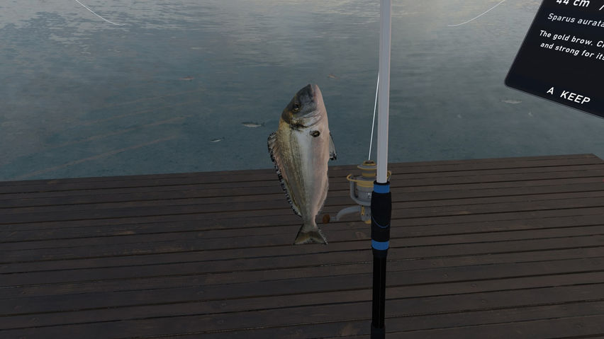 Fishing Simulator Naples