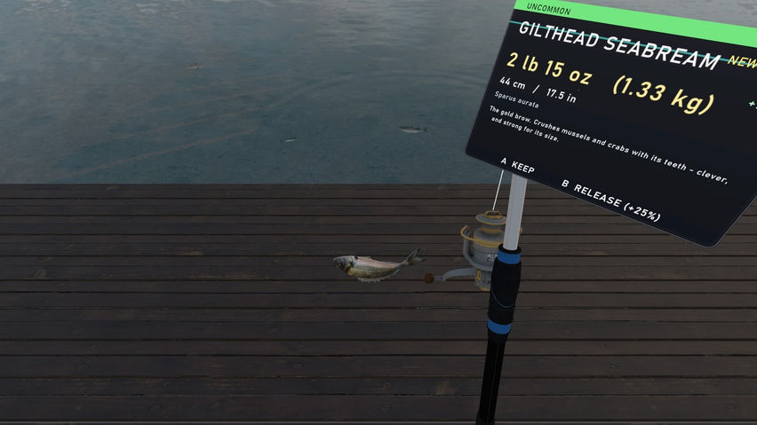 Fishing Simulator Naples