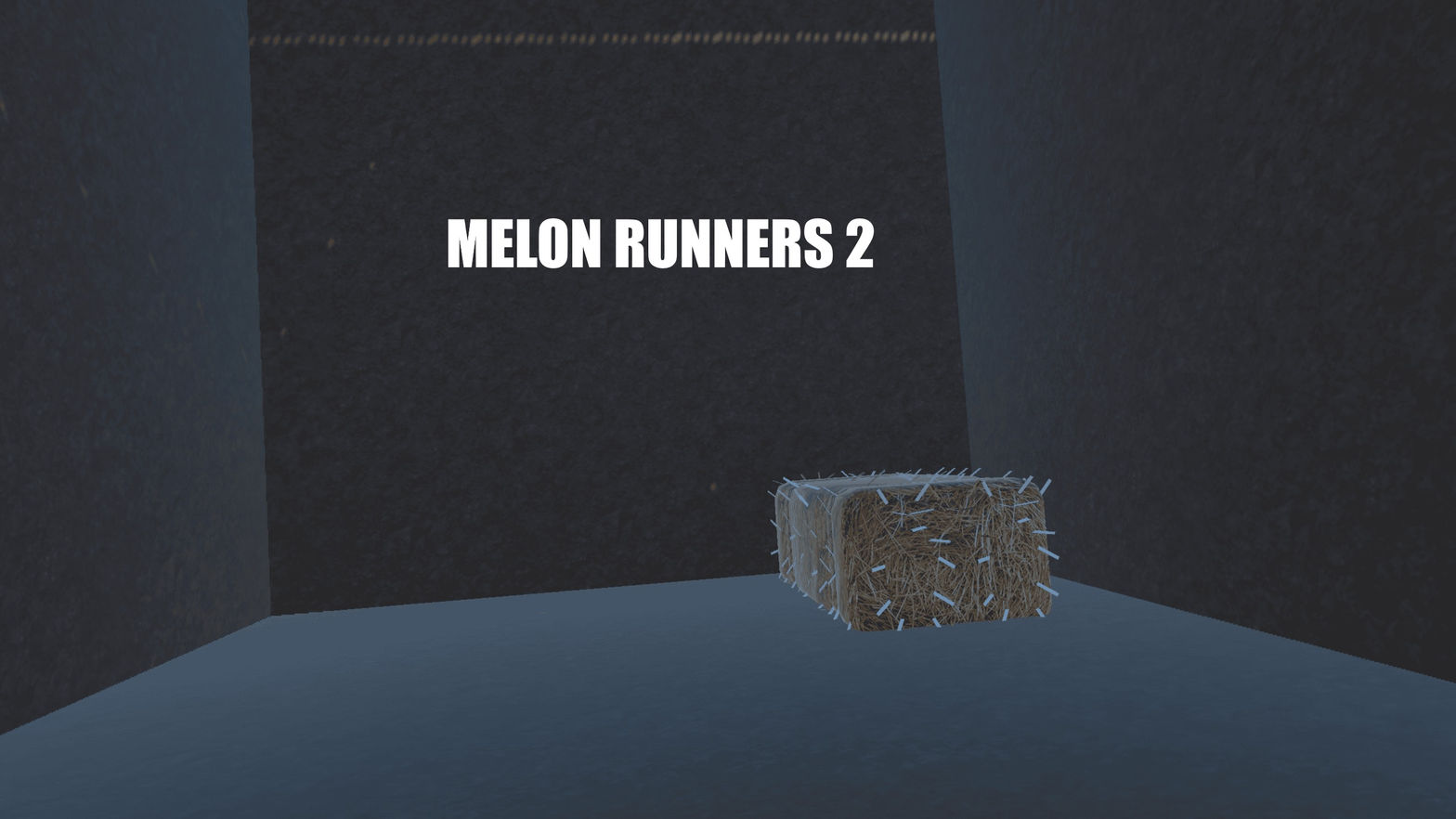 Melon Runners 2