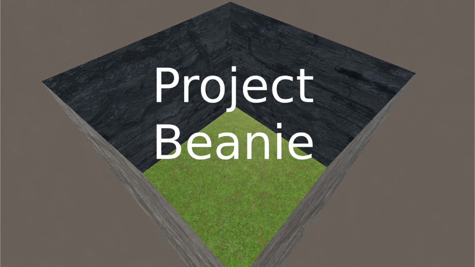 Project Beanie