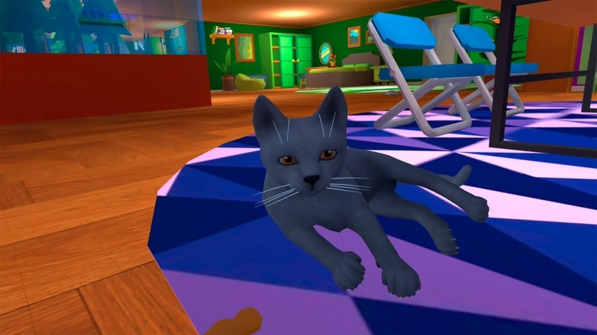 Chameleon Simulator