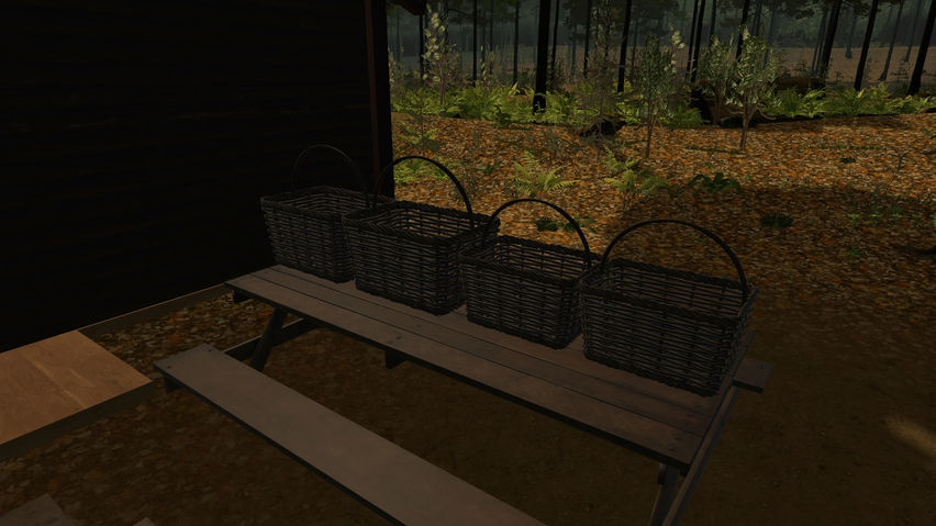 ForestVR