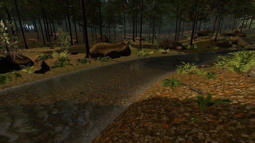 ForestVR
