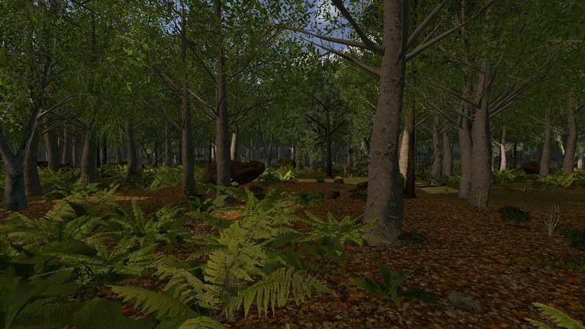 ForestVR