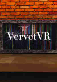 VervetVR