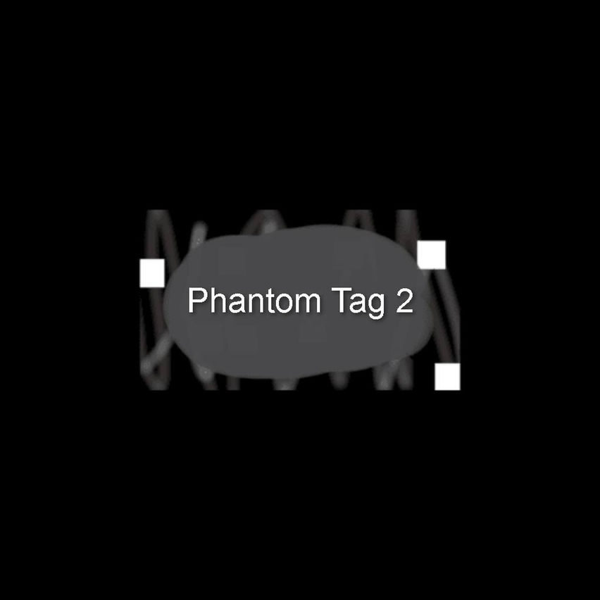 Phantom Tag 2