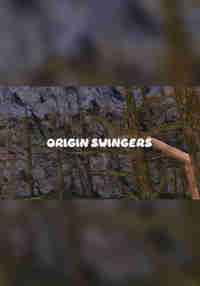 Origin Swingers