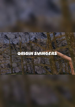 Origin Swingers
