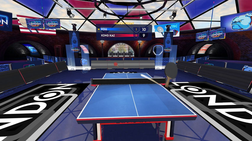 Table Tennis Career