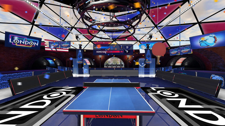 Table Tennis Career