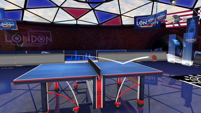 Table Tennis Career