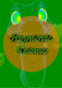 Hypnotic Kaamo