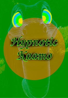 Hypnotic Kaamo