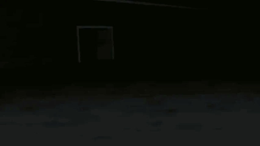 Classic Fun Monke Horror