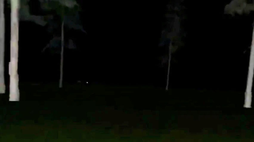Classic Fun Monke Horror
