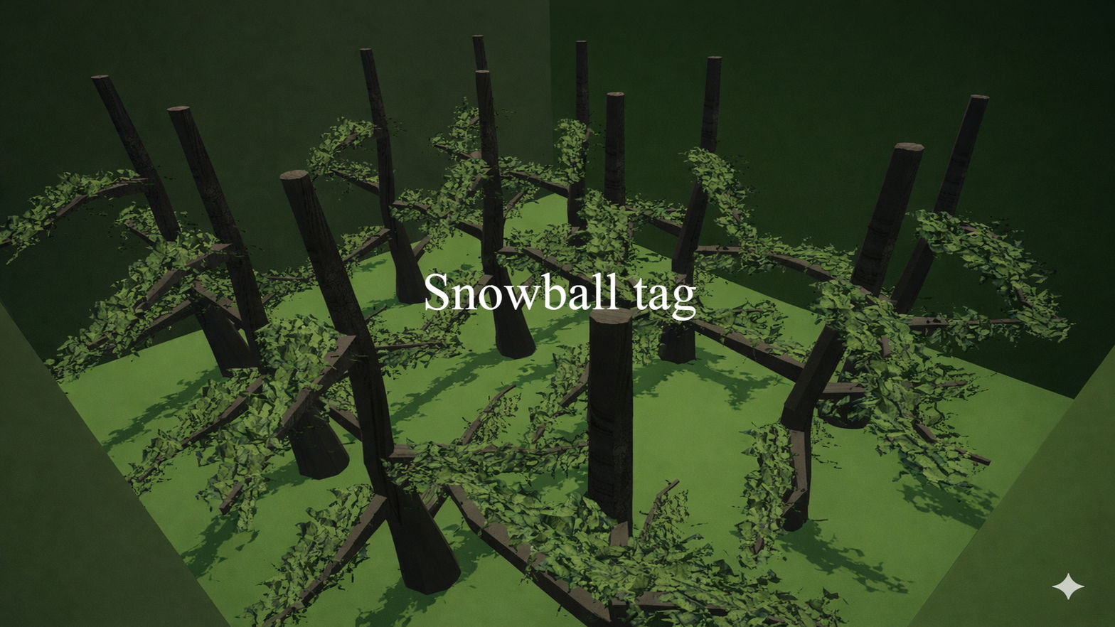 Snowball tag