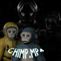 Chimp.Mp4