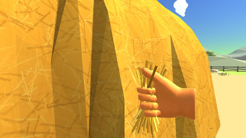 Find the Needle VR
