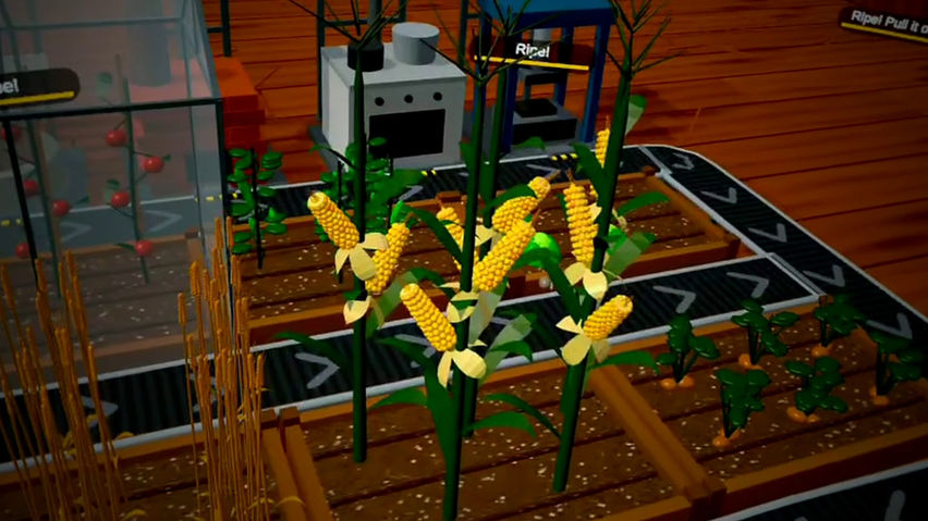 Home Farm
