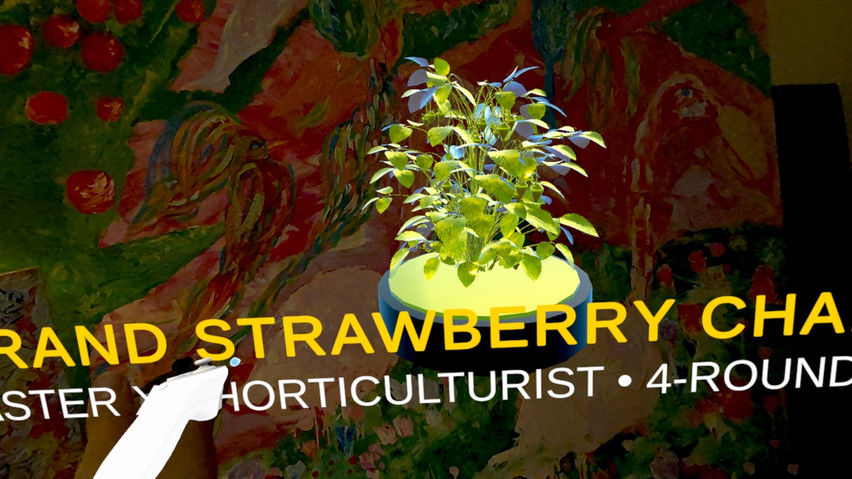Strawberry Sprint XR