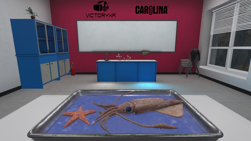 Dissection Simulator: Invertebrate Edition