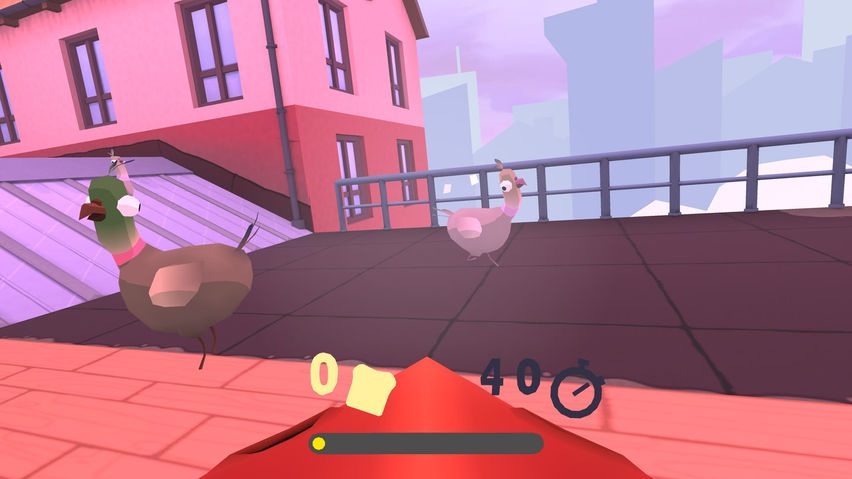VR Pigeons